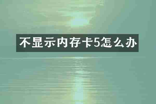 不显示内存卡5怎么办