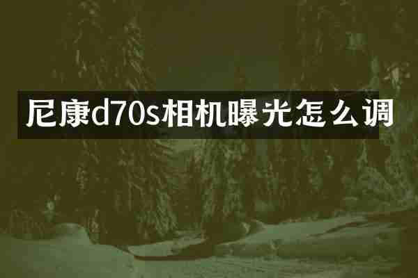 尼康d70s相机曝光怎么调