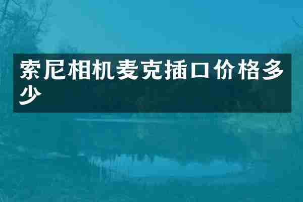 索尼相机麦克插口价格多少