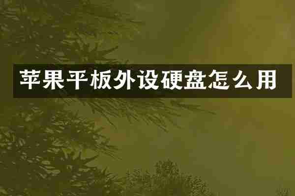 苹果平板外设硬盘怎么用
