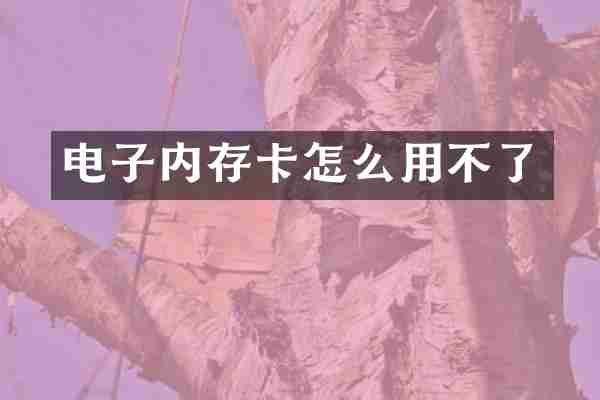 电子内存卡怎么用不了