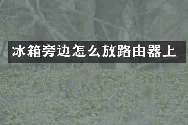 冰箱旁边怎么放路由器上