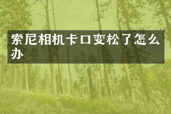 索尼相机卡口变松了怎么办