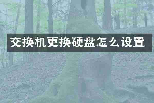 交换机更换硬盘怎么设置