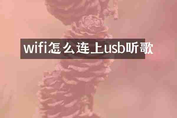 wifi怎么连上usb听歌
