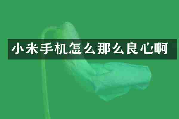 小米手机怎么那么良心啊