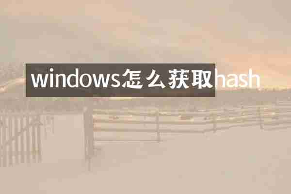 windows怎么获取hash