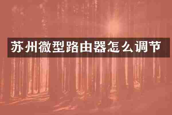 苏州微型路由器怎么调节