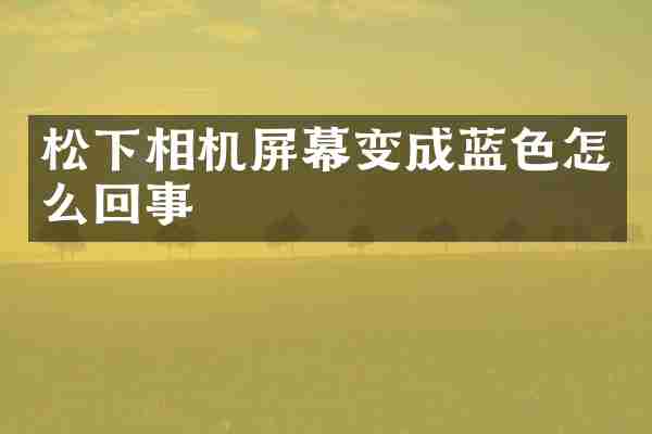 松下相机屏幕变成蓝色怎么回事