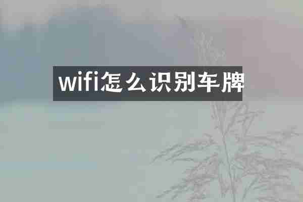 wifi怎么识别车牌