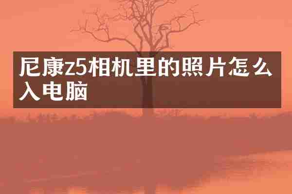 尼康z5相机里的照片怎么导入电脑