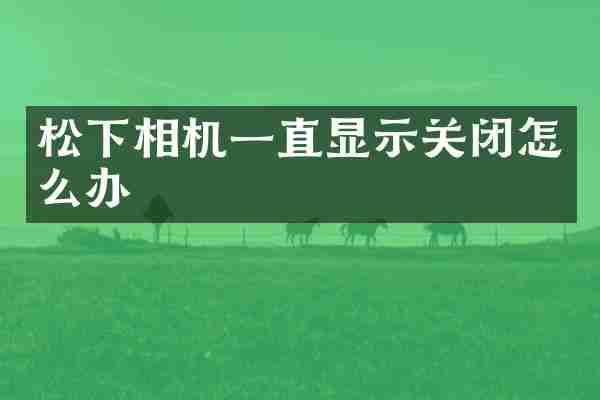 松下相机一直显示关闭怎么办