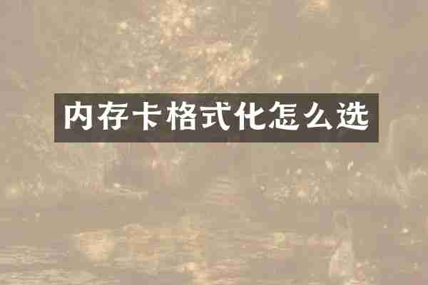 内存卡格式化怎么选