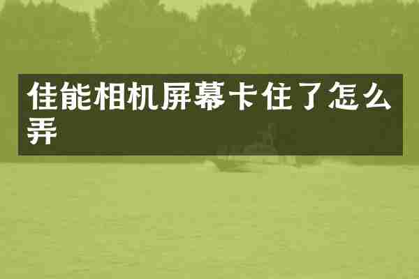 佳能相机屏幕卡住了怎么弄