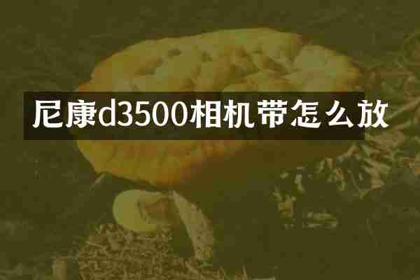 尼康d3500相机带怎么放
