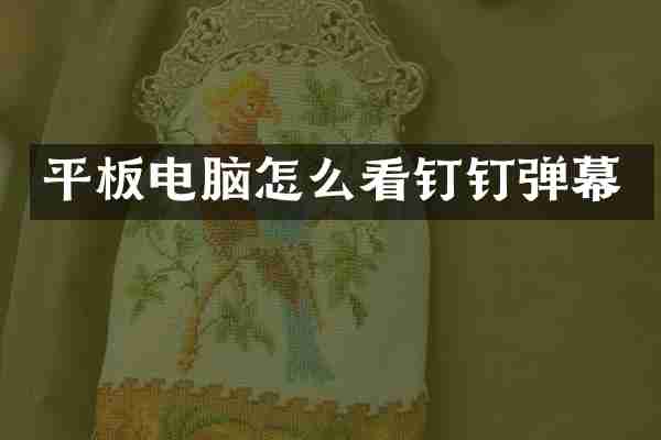 平板电脑怎么看钉钉弹幕