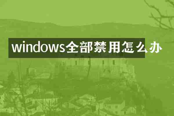 windows全部禁用怎么办