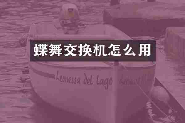 蝶舞交换机怎么用