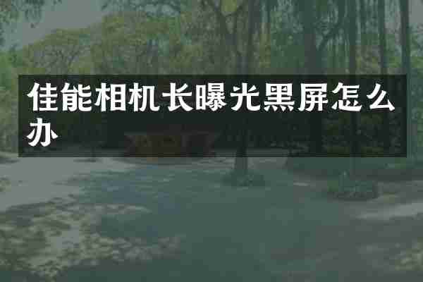 佳能相机长曝光黑屏怎么办