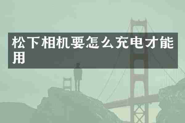松下相机要怎么充电才能用