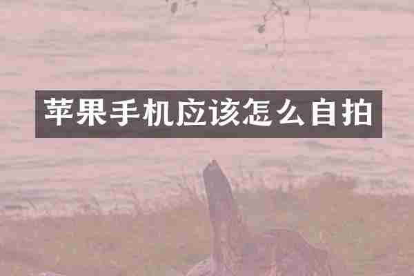 苹果手机应该怎么自拍