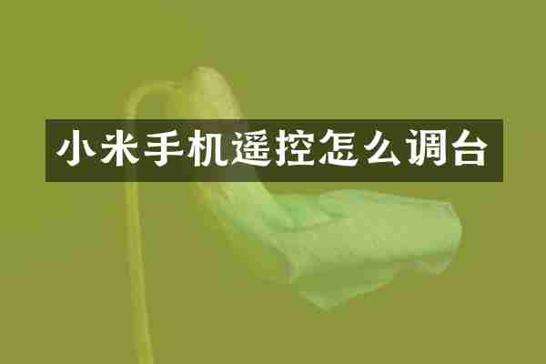 小米手机遥控怎么调台