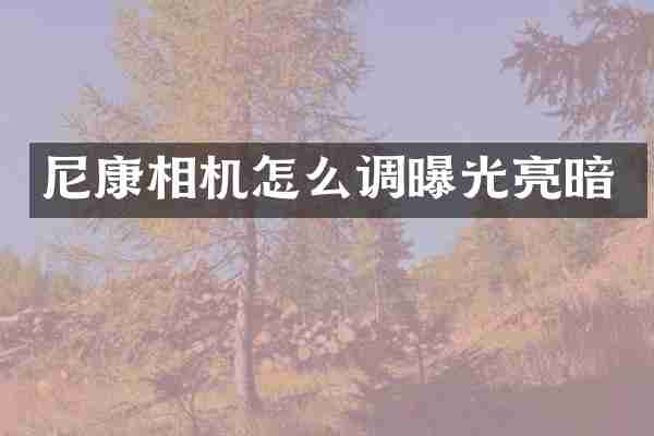 尼康相机怎么调曝光亮暗