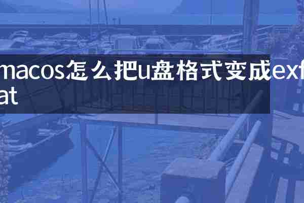 macos怎么把u盘格式变成exfat