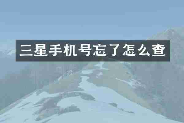 三星手机号忘了怎么查