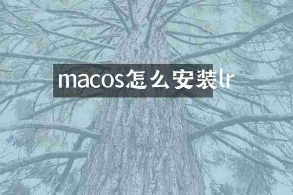 macos怎么安装lr