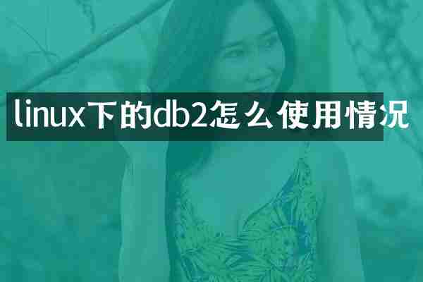 linux下的db2怎么使用情况