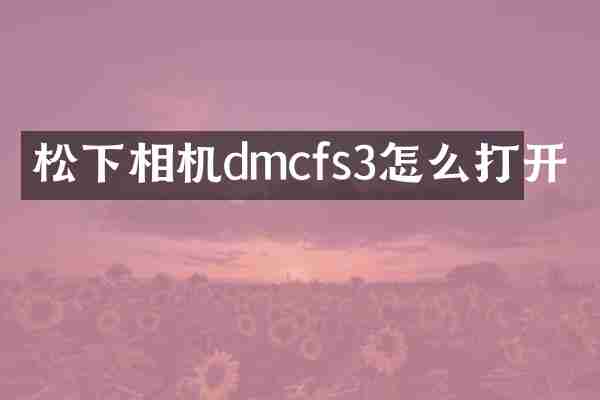 松下相机dmcfs3怎么打开