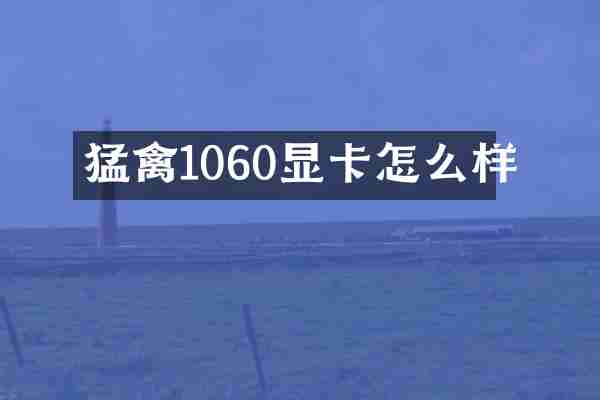 猛禽1060显卡怎么样