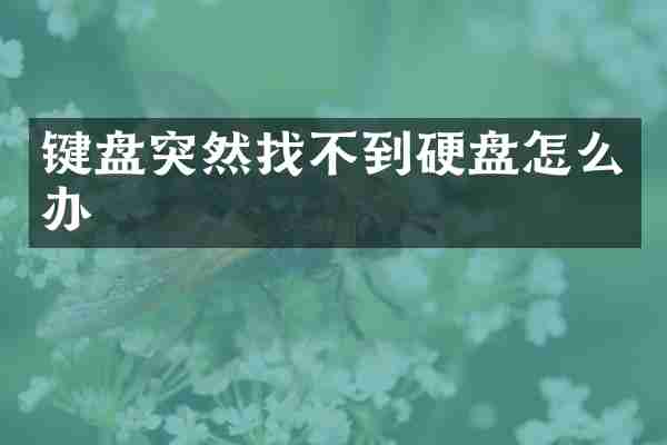 键盘突然找不到硬盘怎么办
