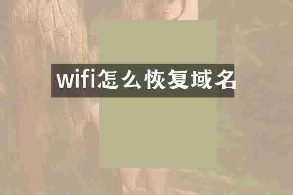 wifi怎么恢复域名