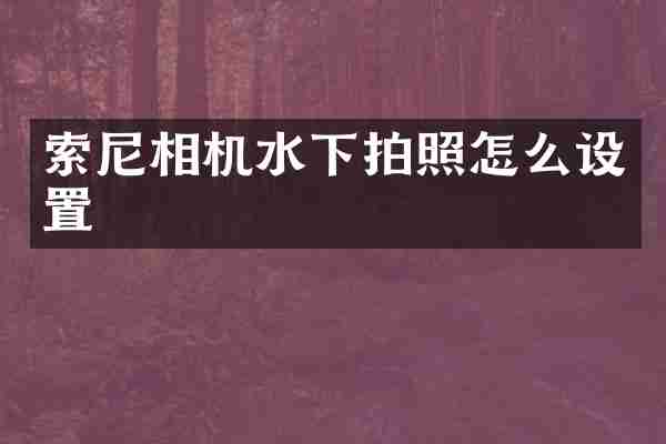 索尼相机水下拍照怎么设置