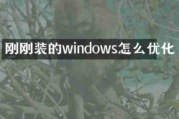 刚刚装的windows怎么优化