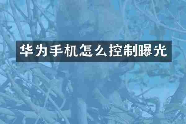 华为手机怎么控制曝光