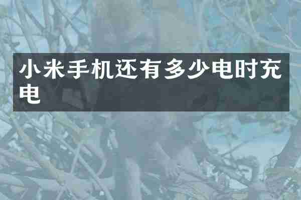小米手机还有多少电时充电