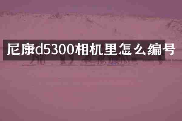 尼康d5300相机里怎么编号