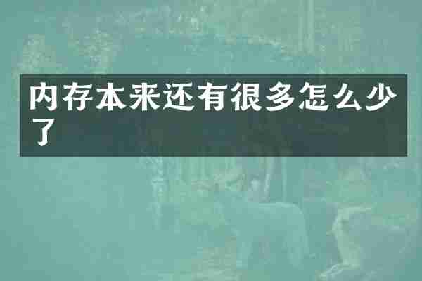 内存本来还有很多怎么少了