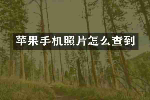 苹果手机照片怎么查到