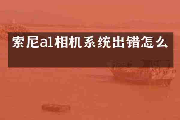 索尼a1相机系统出错怎么办