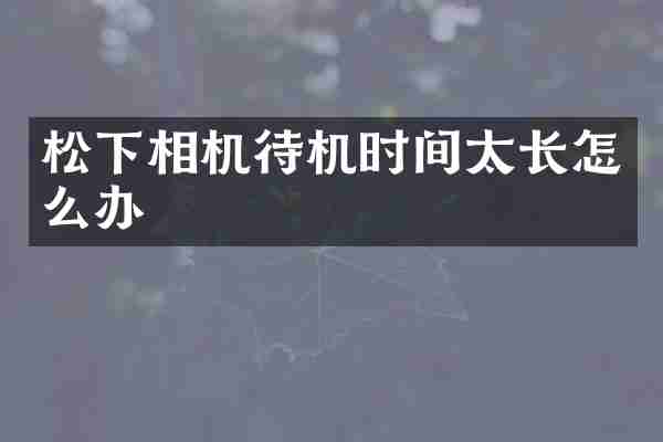 松下相机待机时间太长怎么办