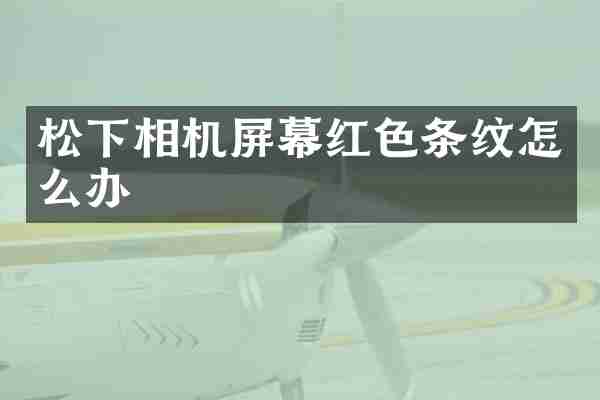 松下相机屏幕红色条纹怎么办