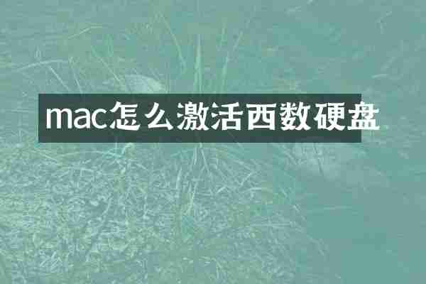 mac怎么激活西数硬盘