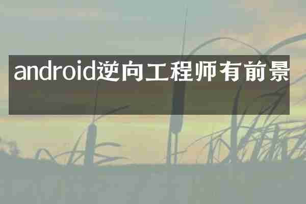 android逆向工程师有前景吗
