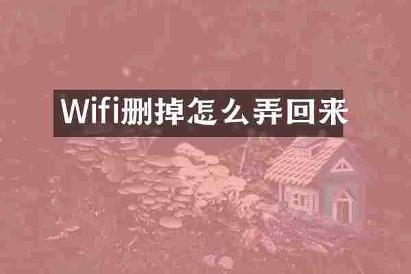 Wifi删掉怎么弄回来