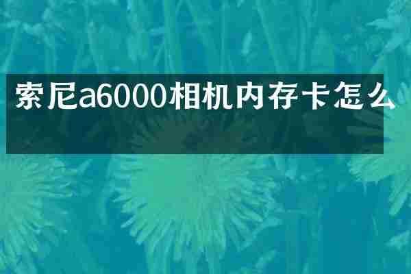 索尼a6000相机内存卡怎么取