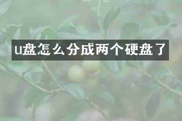 u盘怎么分成两个硬盘了